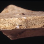 Plate 156: Fresh sherd break of WIG WH (width of field 24 mm). Click to see a larger version