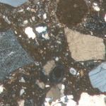 Plate 57.3: Photomicrograph of trituration grits on RHL WH (PPL) (width of field 1.74 mm) Sample 1995.7-11.100. Click to see a larger version
